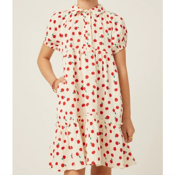Hayden Apples Print Textured Button up collar dress - Picture 1 of 13